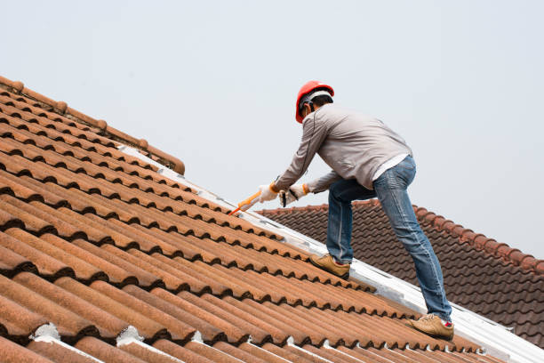 Best Asphalt Shingle Roofing  in Mcconnelsville, OH